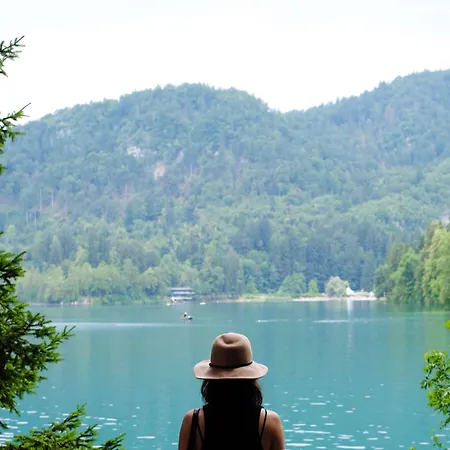 Triglav Bled