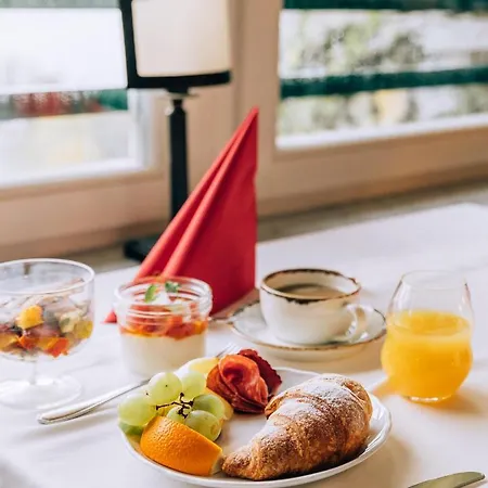 Hotel Triglav 4*